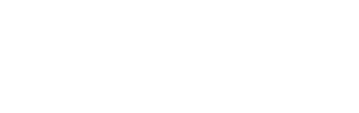 Agência Sagui Digital
